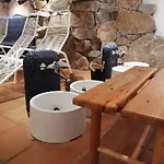 بورغ وينديك ***إس 4*