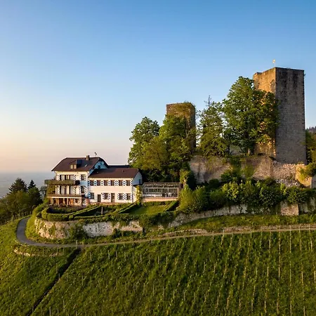 Burg Windeck ***s 4* Bühl